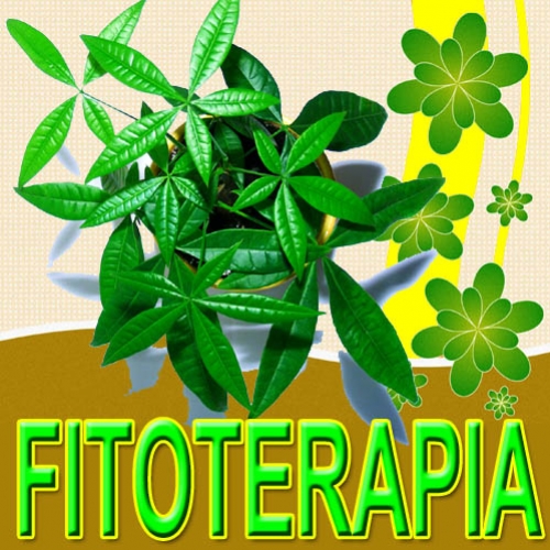 Plantas Medicinais