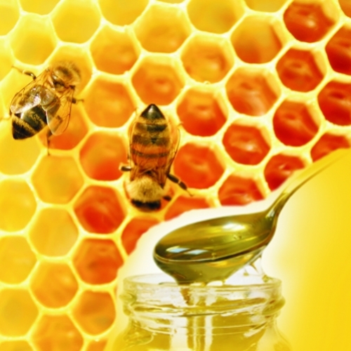 Geléia Real O Alimento Miraculoso