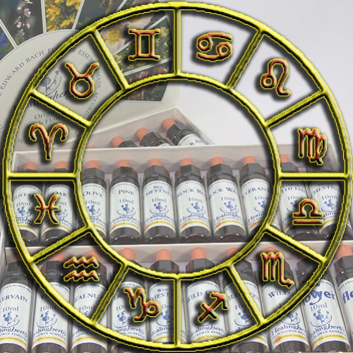 As essências florais do Dr. Bach e sua relação com os signos e suas respectivas cores