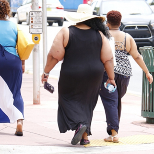 Obesidade, suas consequências e como diminuí–la